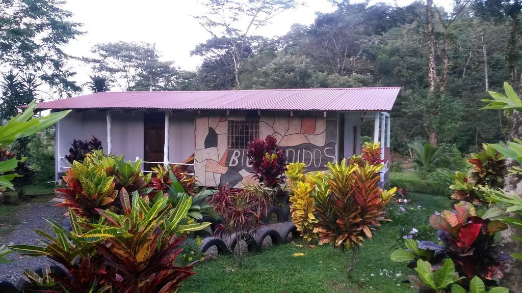 Nacientes Lodge Bijagua de Upala Exterior foto