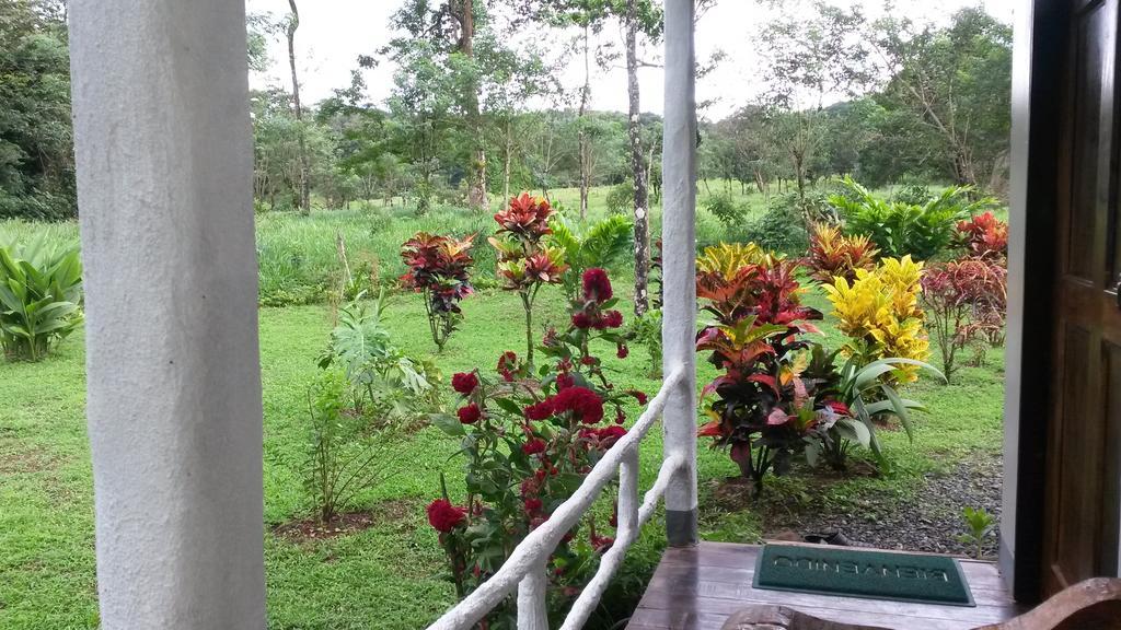 Nacientes Lodge Bijagua de Upala Exterior foto